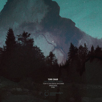 Tomi Chair  - The Blurred Scenery (inc. Birdcage, PHM, Tony's Wayback Machine Remixes) cover art