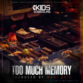 Too Much Memory cover art
