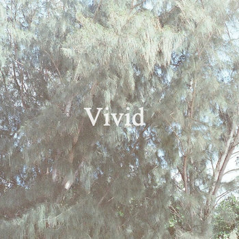 Vivid cover art