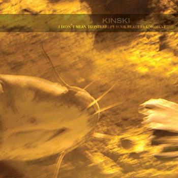 I Didn't Mean To Interrupt Your Beautiful Moment cover art