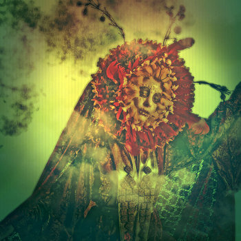 Softly Mad cover art