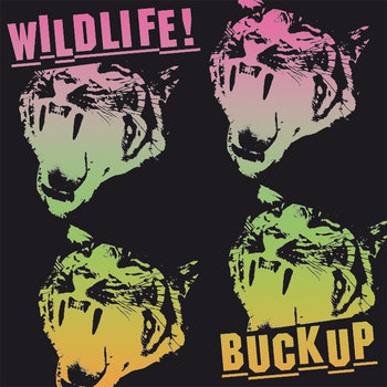 Buckup EP cover art