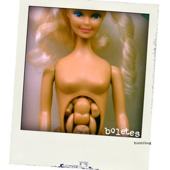Hunnibug cover art