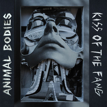 Kiss of the Fang cover art