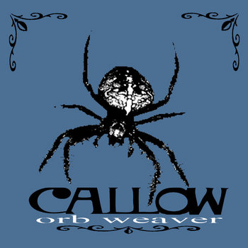 Orb Weaver cover art