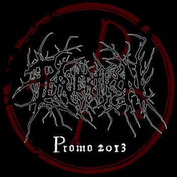 Promo 2013 cover art