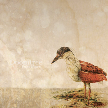 False Hopes cover art