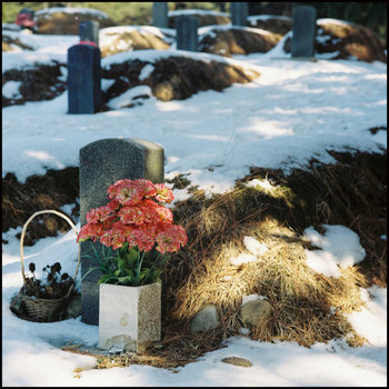 Never Sever cover art