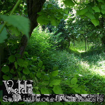 Self-inflicted Catharsis cover art