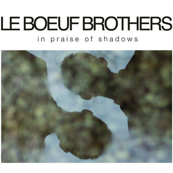 In Praise of Shadows cover art