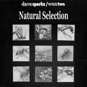 Natural Selection cover art