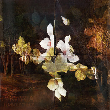 Luminous Things cover art