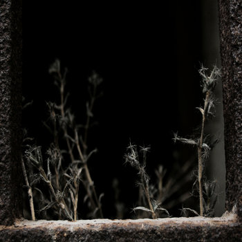 Thomas Bel + Monolyth & Cobalt - Matins D'Octobre cover art