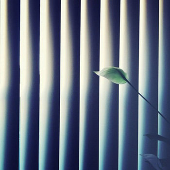 LewseJoints cover art