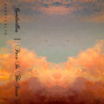 Face in the Stain cover art