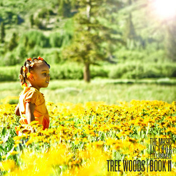 The Music In Your Eyes Project: Book II cover art