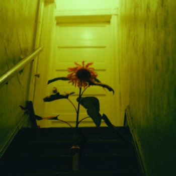 The Sunflower Split with Sleep in Sundays cover art