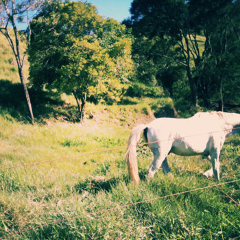 Alimentar EP cover art