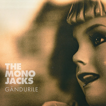 Gandurile Remixed cover art