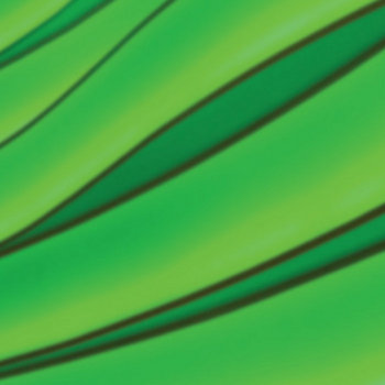 Plant Cell cover art