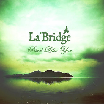 Bird Like You cover art