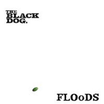 Floods cover art