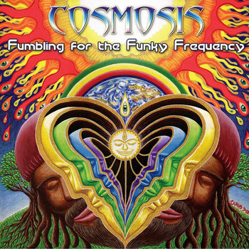 Fumbling For The Funky Frequency cover art