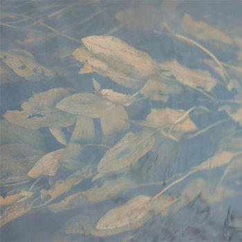 Resting in Aspic cover art