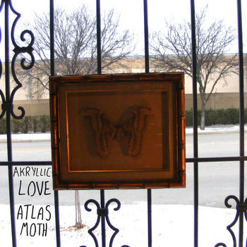 Atlas Moth cover art