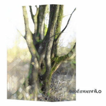snufmumriko cover art