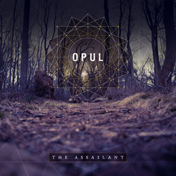 The Assailant cover art