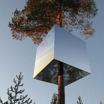 Raoul Salvaje del Bosque's "Camp Out" cover art