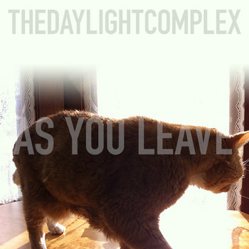 As You Leave (demo) cover art