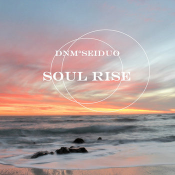 DNM/SEiduo - Soul Rise cover art