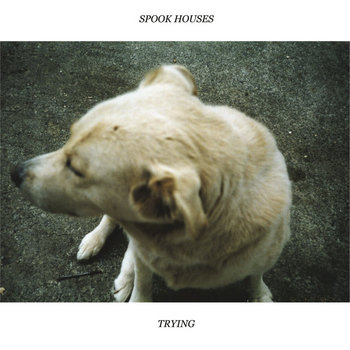 THE "TRYING" LP cover art
