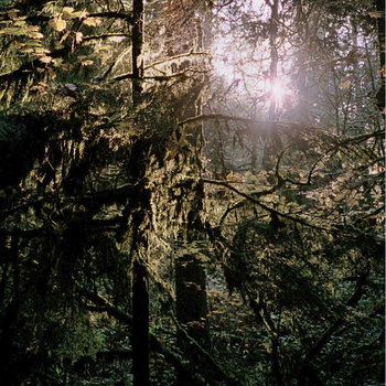 WHITE MANNA cover art