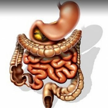 Stomach Ache cover art