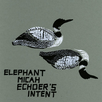 Echoer's Intent cover art