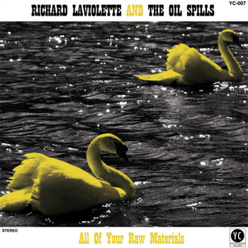 All Of Your Raw Materials cover art