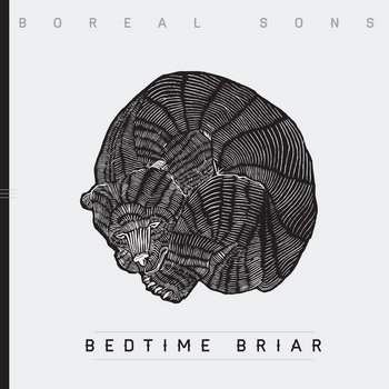 Bedtime Briar cover art