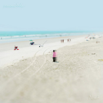 Marsh cover art