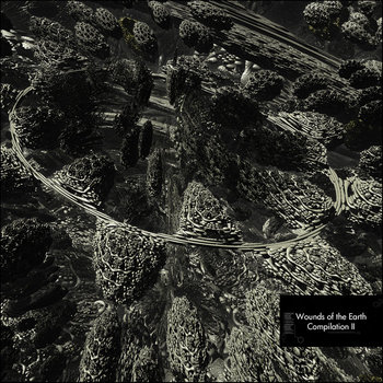 Wounds of the Earth Compilation II cover art