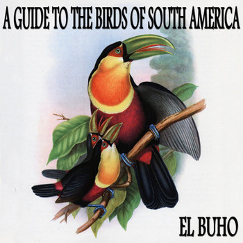 A Guide to the Birds of South America EP cover art
