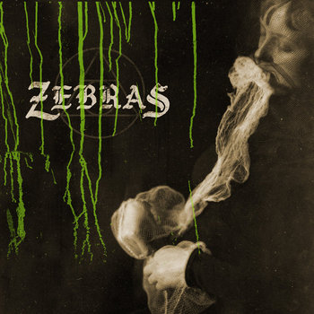 Zebras cover art