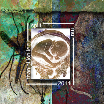 thaniel ion lee / mu - split single cover art