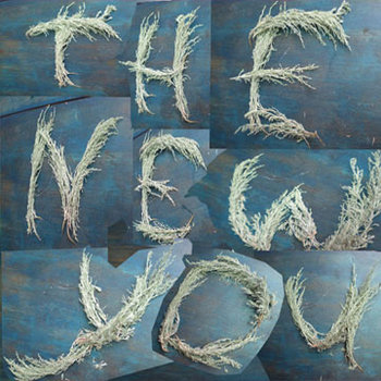 the NEW YOU cover art