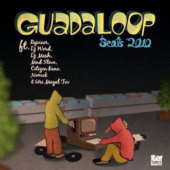 Guadaloop - Beats 2010 cover art