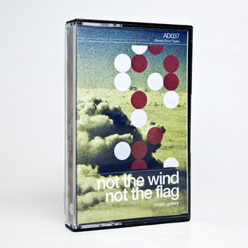 AD037 Not the Wind, Not the Flag 'Music Gallery' cover art