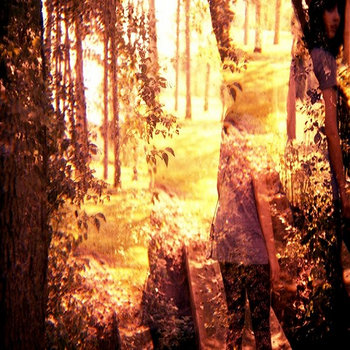 Amusement cover art