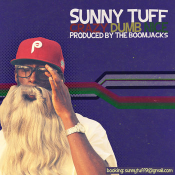 Crazy Dumb Nice cover art